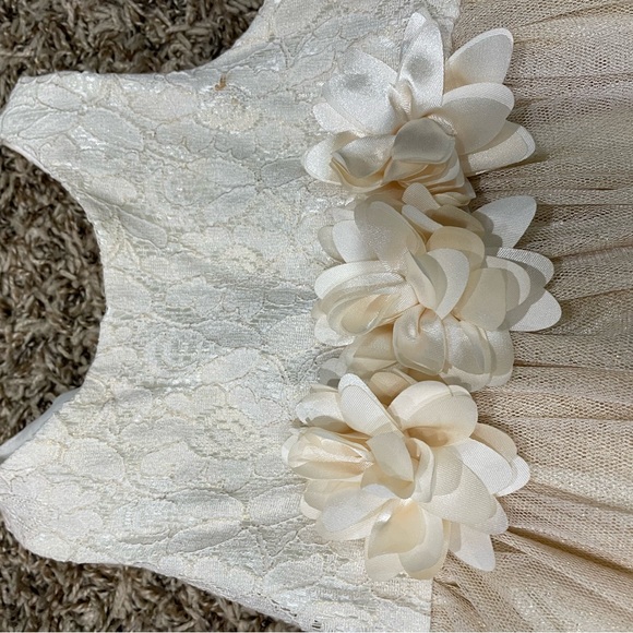 Youngland Girls tulle and gold dress size 3t - Picture 4 of 11